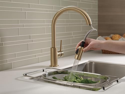 Review: Perfect Trinsic Kitchen Faucet