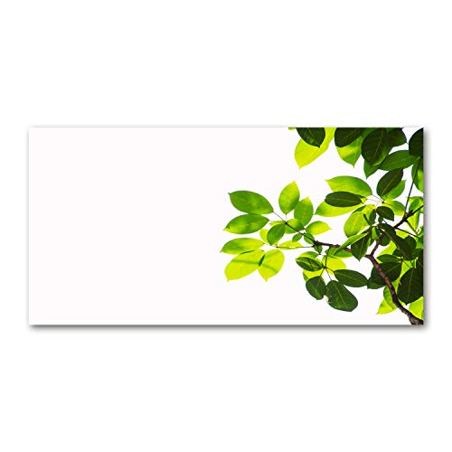 Fond de hotte verre Tulup splashback vert feuille pour une cuisine moderne inspirée de la nature