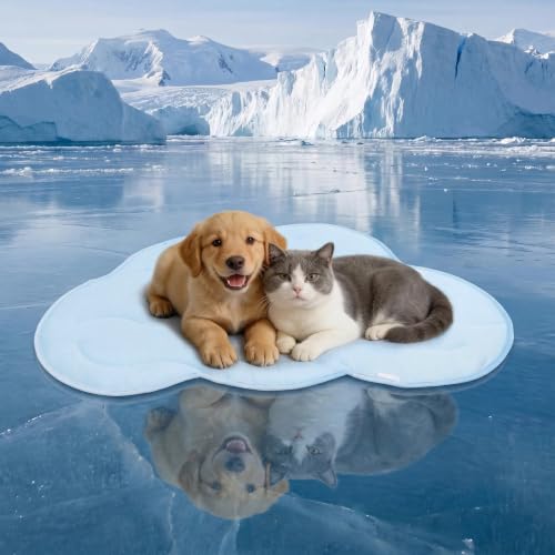 BECEMURU Cooling Mat