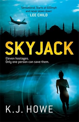 Skyjack view 2