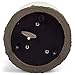 Elanze Designs Manatees Playing in Ocean 100MM Sturdy Wind Up Music Glitter Water Snow Globe Tabletop Dresser Nightstand Figurine Decoration Plays Tune Somewhere in Time