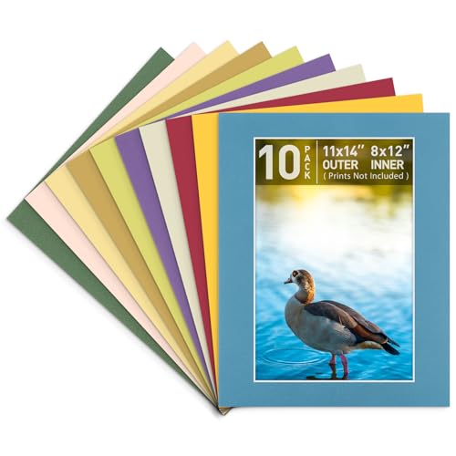 Golden State Art, Pack of 10, 11x14 Mix Color Picture Mats with White Core Bevel Edge for 8x12 Pictures - 4 Ply Thickness