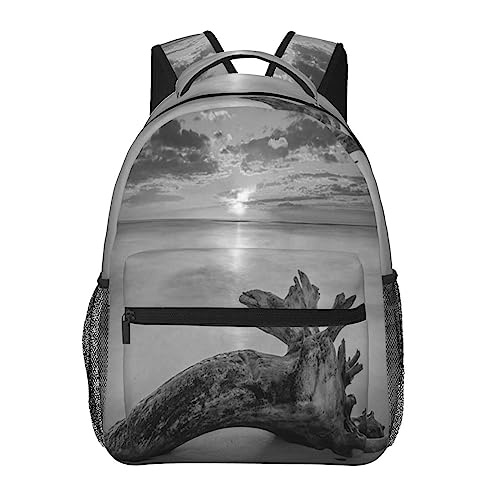 Sac à dos ordinateur portable zèbre pour protéger vos affaires en rando