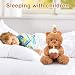 Imagen de YUPDFGB Ositos de Peluche