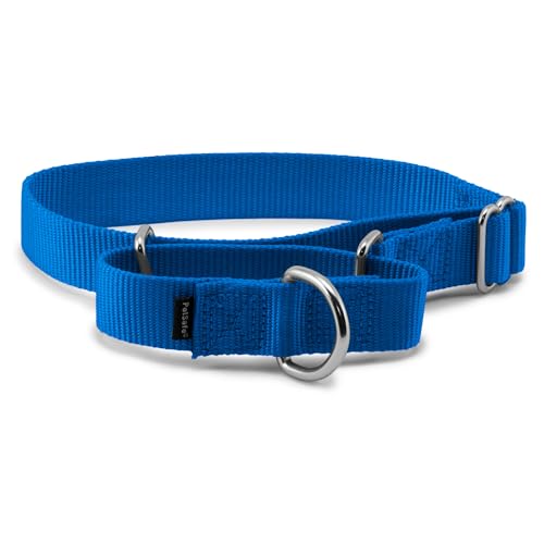 PetSafe Martingale Dog Collar Medium, 1 Inch, Royal Blue