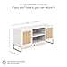 Nathan James Mina Modern TV Stand, Entertainment Cabinet, Console with a Natural Rattan Storage Doors, Finish Brass Accents for Living Media Room, Matte White/Gold
