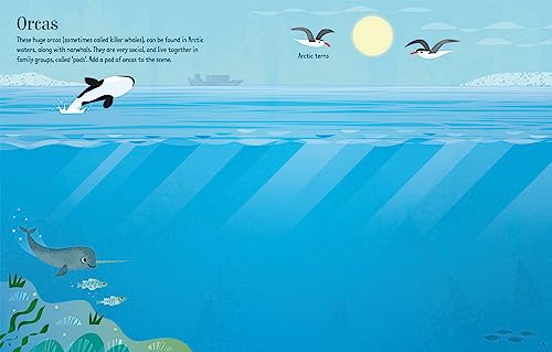 First Sticker Book Narwhals (First Sticker Books) - Image 2