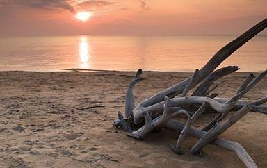 Gold Canyon - Large Driftwood Heritage Two-Wick Scented Candle, Diamond-Light Glass Jar #TOP1