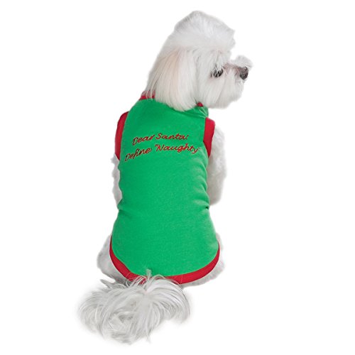 Chien Père Noël pull vert grande taille pour éviter le froid hivernal