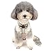 Ranphy No Pull Mesh Harness for Small Dog Cat Striped Puppy Harness and Leash Set, Breathable Soft No Choke Design Pet Padded Vest Escape Proof Cute Flower Bow Chihuahua Yorkie Body Harness Gray XL
