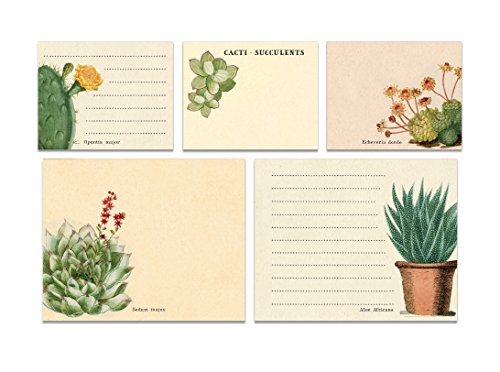 Cavallini Sticky Notes Succulents carnet bloc mémo repositionnable
