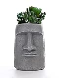 Lifexquisiter Easter Island Moai Head Statue Succulent Planter Pot, Human Face Flower Pot for Desktop Home Decor, Cool Moai Figurines Pen and Brush Holder, Ideal Gift for Kids Parents Friends, Grey