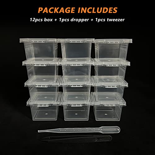 GKPONSX 12 peças de caixa de aranha saltadora, caixa de reprodução de répteis, terrários de aranha c