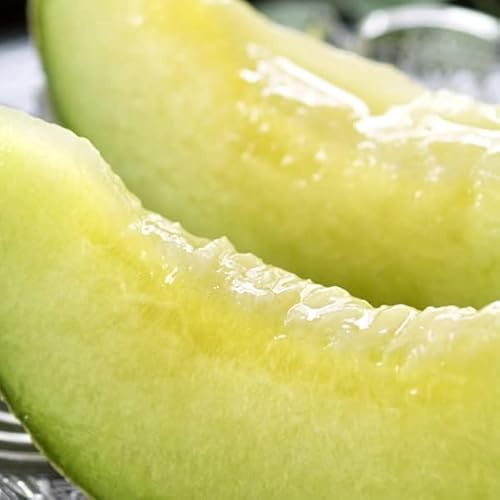 R`Y   1 (Gi/1 1.3kg/퉷i) u  AfX  Mtg 蕨 j v[g R` ʕ t[c 