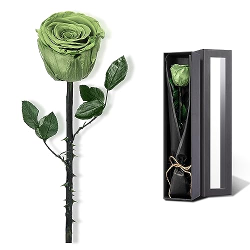 Image of Green Flowers for Delivery Prime, Preserved Green Roses Flower Gifts for Women, Real Roses Single Rose Gifts for Her, Mom Birthday Gifts from Daughter, Valentines Flowers