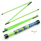 Collapsible Golf Alignment Sticks | 48 Inches Green Golf Trainer Stick Set for Aiming/Putting/Posturing | Fiberglass Rods for Practice | Portable Super Stroke Alignment Sticks with PVC Tube Case