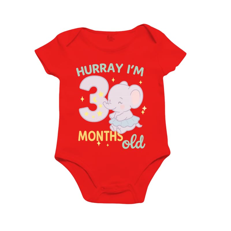 Image of Monthly Birthday Romper for Newborn Baby | Unisex Half Sleeve Bodysuit with Envelope Neck | Soft Cotton Outfit with 1 to 12 Month Print | Comfortable Infant Wear for Boys & Girls