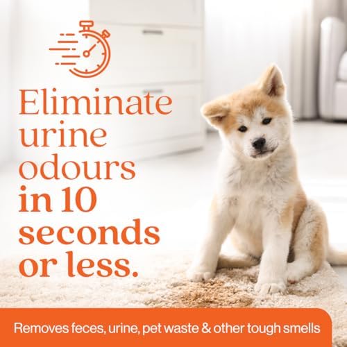Eco Strong Orange Enzyme Cleaner | Made in Canada | Powerful Orange Extract Urine Destroyer and Probiotic Enzyme Pet Odor Eliminator (946 mL) - 4