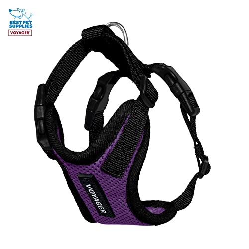 Image of Best Pet Supplies Voyager Step-in Lock Pet Harness w Reflective Pet Leash Combo Set with Neoprene Handle 5ft - Supports Small, Medium and Large Breed Puppies /Cats - Purple /Black Trim, XXS