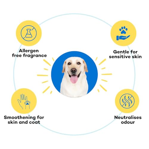 Image of Dog Shampoo for Labrador, Beagle and Indie | 250 ml | Coat Cleanser with Jojoba & Castor Oil, Made Safe | Good Smell