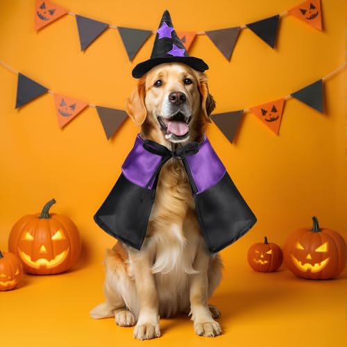 2 sets disfraz Halloween mascota gato perro miniatura 6