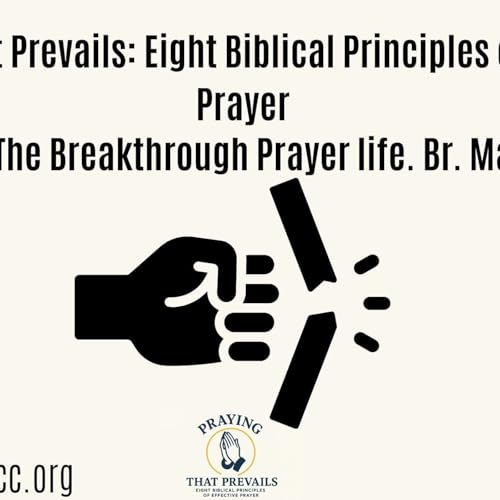 The Breakthrough Prayer Life | Br. Martin Guni | AFM Midrand Impact cover art