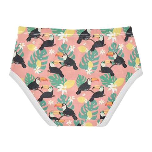ZZKKO Toucan Tropical Leaves Girls Underwear Toddler Panties for Girls Comfort Brief Size 2T-8Y2