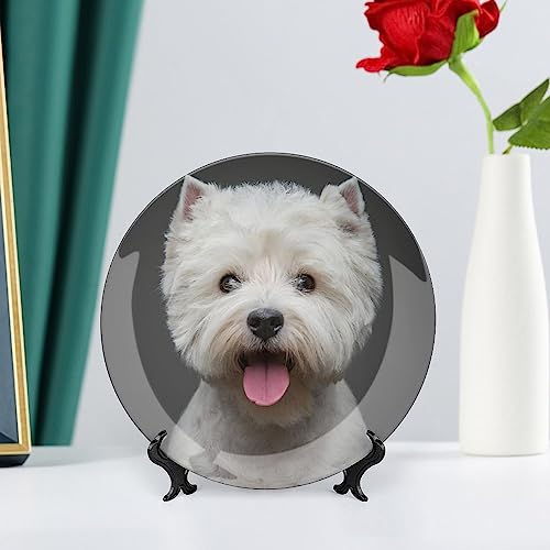 Platos de porcelana china de perro terrier con soporte de pared elegante 6