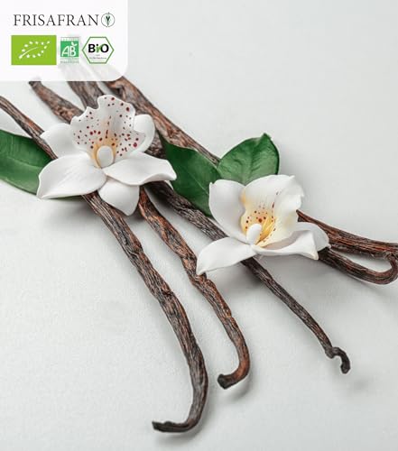 FRISAFRAN | Öko frische Vanilleschote 2 Uds | Vanille | Vanilleextrakte | Vanille auf Zweig | Vanilleschoten | Vanilleessenz | Verdauungs | Bourbon | Aus Madagaskar | Natürlich und organisch