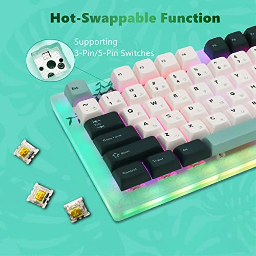 Image of Womier K87 TKL Mechanical Keyboard, Hot Swappable Wired Keyboard, 87 Keys Custom Gaming Keyboard, 80% RGB Keyboard with Botanical Keycaps for PC MAC PS4 Xbox Laptop - Yellow Switch