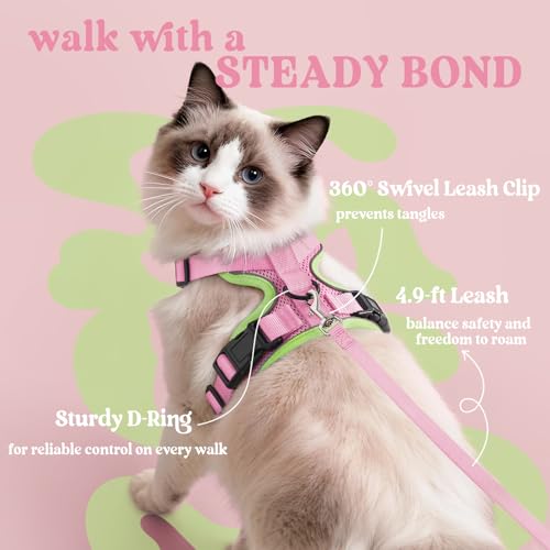 Image of rabbitgoo Cat Harness and Leash Set, Escape Proof Vest, Pink & Light Green | Soft Breathable Mesh, Easy Adjustable Fit, Snap Buckles, Sturdy Clip, Reflective Strips, for Medium to Large Cats Walks, M