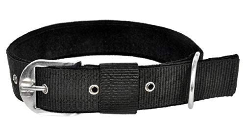 Image of RvPaws Nylon Dog Collar Adjustable for Large Dog (Black,1.25inch)