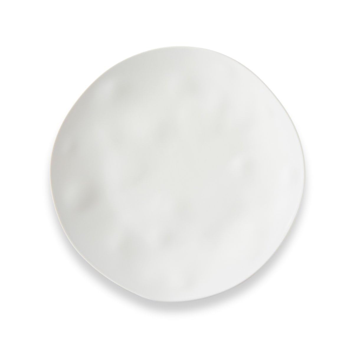 お皿 プロスタイル 丸皿 19cm (9000-1224)