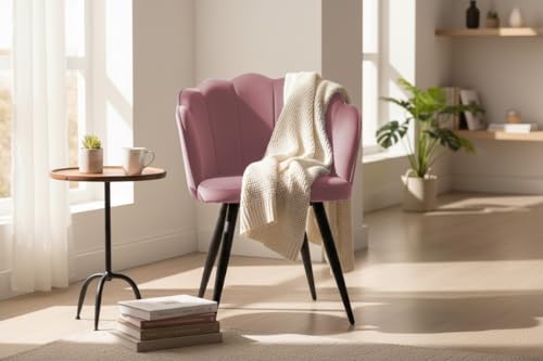 Image of Finch Fox Blake Luxurious Home Collection Dining Room Chairs in Pink Velvet Material & Stylish Design with Black Metal Powder Coated Legs