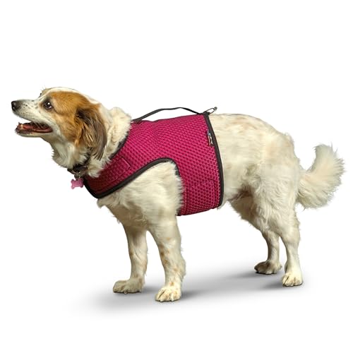 YAP Pet Performance Wrap®; Choke-Free Dog Harness for Medium Dogs, Anti-Static Mesh Pet Harness, Reversible & Quick-Drying Dog in Training Vest Compatible with Universal Seat Belt, Pink