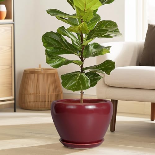 Ceramicfor 10 Inch Plant Pot - Ceramic Planter Pot with Drainage Hole and Saucer Large Planter for Indoor Plants Round Outdoor Flower Pot Mid-Century Decor Red by Ceramicfor - Image 2