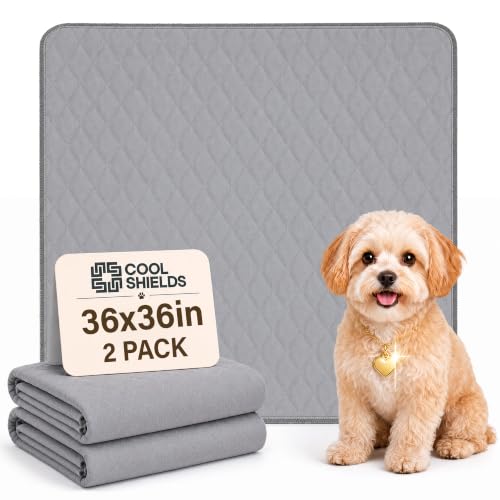 CoolShields Washable Pee Pads for Dogs, 36'' x 36'', Grey, 2 Pack