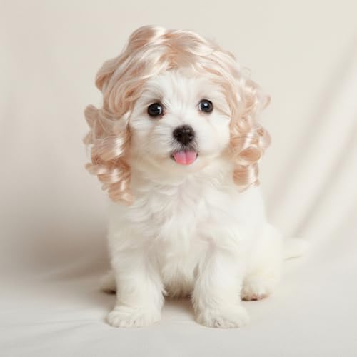 Peluca rubia para perros pequeña Elastic Bands miniatura 4