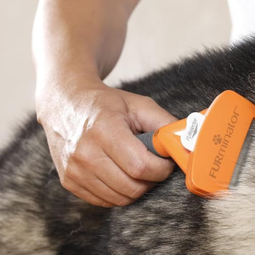 Image of FURminator Undercoat deShedding Tool for Medium Long Hair Dogs, 9-23 kg