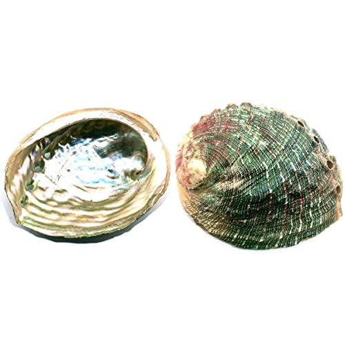 CRIGEMA - Kit Smudge Set - Salvia Bianca e