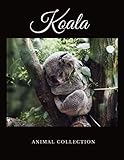  Koala: Animal Notebook, Journal, Diary (110 Pages, Quad Ruled 5 squers per inch, 8,5 x 11)