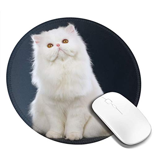 DADABULIU }EXpbh ~ yVL  l L[g L Q[~O S w}EXΉ ~ ϋvǂ  킢 h TCo[JtF ItBXœK Kxȕ\ʖC aF20cm