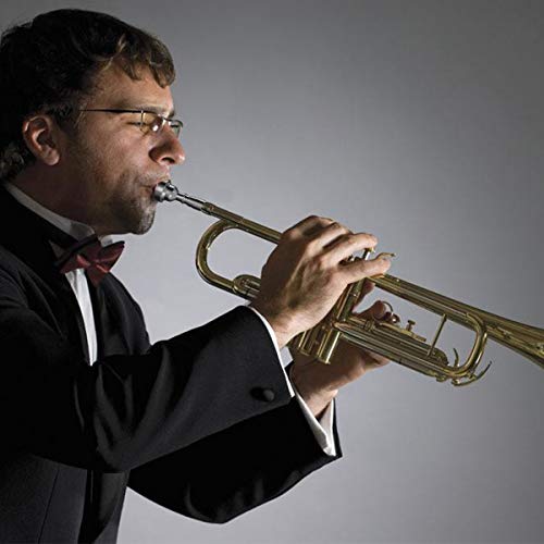 Eison TRUMPET MOUTHPIECE-SILVER Silver Trumpet Mouthpiece 7C 5C 3C Trumpet Mouthpiece Set With Box Cleaning Cloth Compatible With Yamaha Bach Conn King Musical Instruments thumb #5