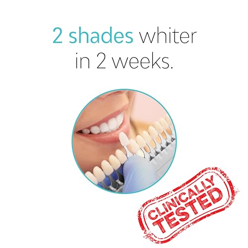 Image of TAO Clean Daily Care Whitening Replacements Heads - White - 2 Pack