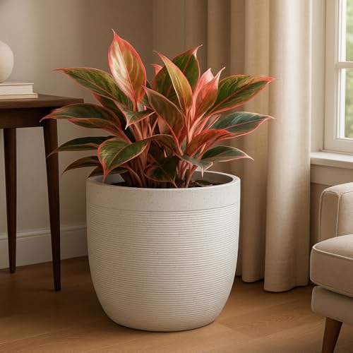 UGAOO Milano Big Pot for Indoor Plants, 12 Inch | Fibre Plant Pot...