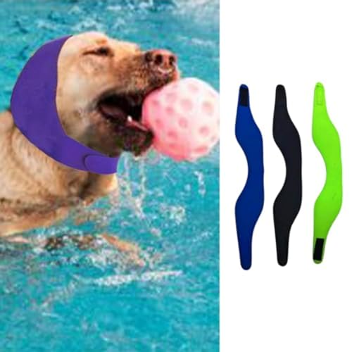 View 2