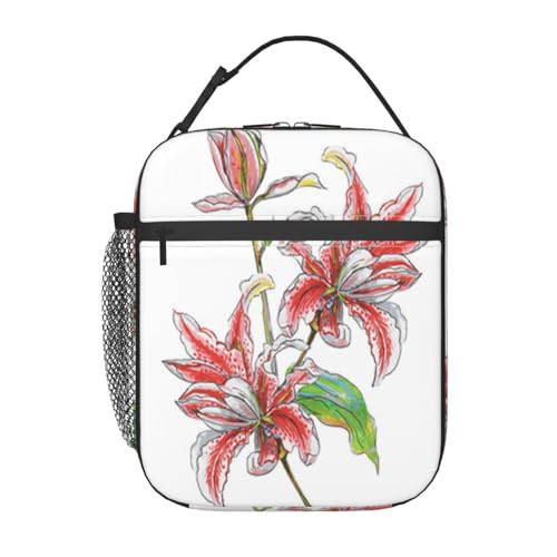 |[^ufM`obOBhƘRh~AX^CbVŏvBdAwZAAEghAɍœKłBjɂɂKĂ܂Biwiɐʉ̉Ԃ`ꂽA[g[N̔wioi[j