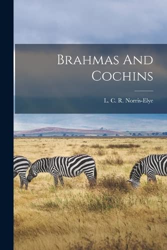 Brahmas And Cochins