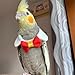 CXYYXF Bird Collar, Bird Clothes, Parrot Bird Supplies, Light Flying Clothes for Parakeets, Cockatiels, Conures, Lovebirds Cute Bow Tie Scarf (S)