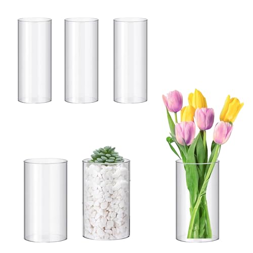 6 Pièces Grands Vases Transparents en 2 Tailles Vases Cylindriques en Plastique Incassable pour Composition Florale, Décoration de Mariage et Salon